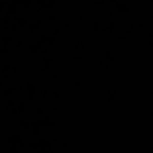 Meet your Posher, Gabriel